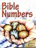 Bible Numbers